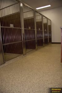 Animal holding cells make use of resin chip epoxy garage floor coating as it offers easy clean up and protection from chemicals and other liquids.